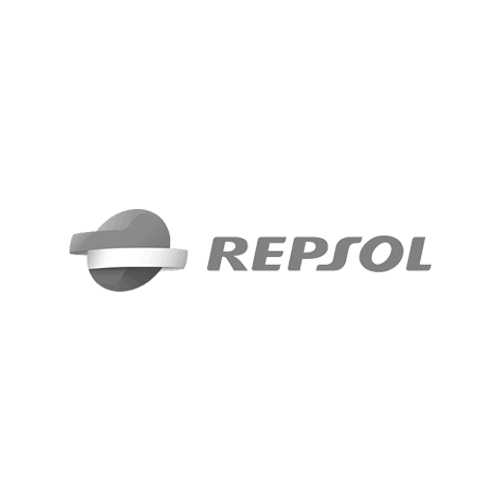 Memolub Repsol